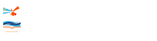 ROV